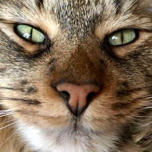 Meet your Posher, Caitlyn